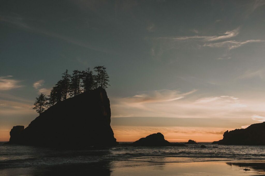 A silhouette of trees on a beach at sunset.